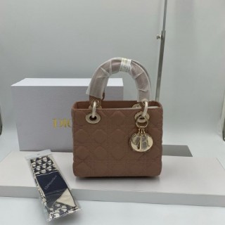 디* 레이디백 소