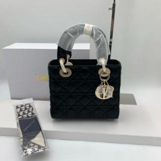 디* 레이디백 소